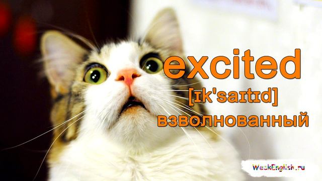 English cards - emotions. Эмоции на английском смотреть онлайн