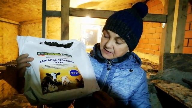 Лучшая подстилка для кур! Насыпал и забыл на 2 года! Лежанка-теплянка смотреть онлайн