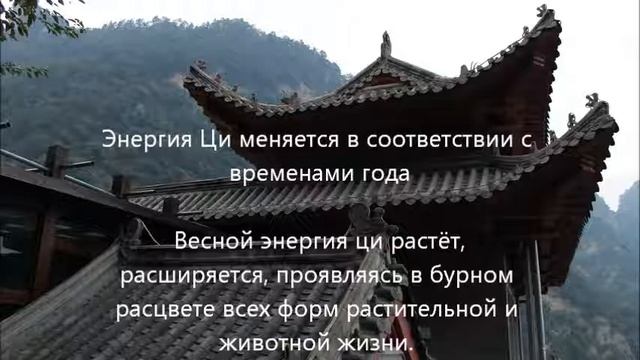 Рассуждения о природе Ци, понятные современному человеку