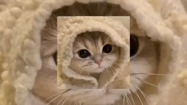 черные глаза смотреть онлайн