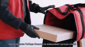 Нормы и правила провоза меда в самолете: сколько можно взять в ручную кладь