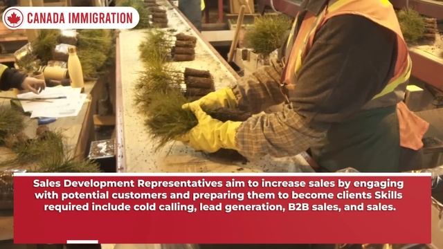 Work In Canada : TOP #20 Jobs In Canada In 2023 With Skills Skills Required & Top Hiring | IRCC