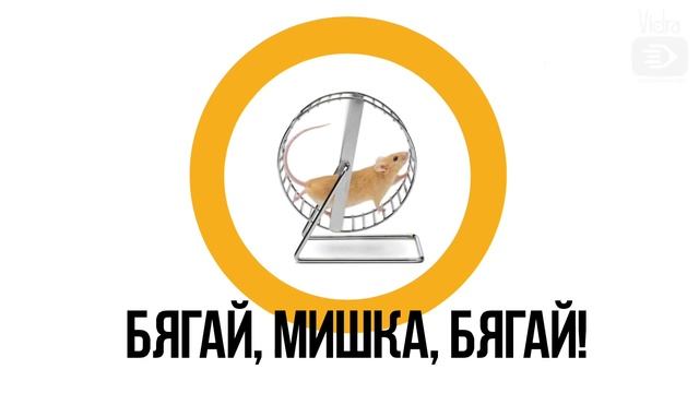 Бягай, Мишка, бягай - докато можеш! смотреть онлайн