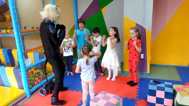 Аниматор Супер Кот во Владимире смотреть онлайн