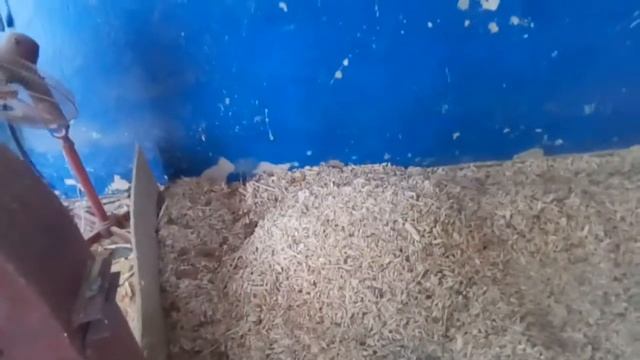 Щепорезка для производства Арболита смотреть онлайн