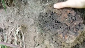 Как найти болотную руду