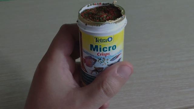 Орнатус обыкновенный. Содержание и разведение орнатусов смотреть онлайн