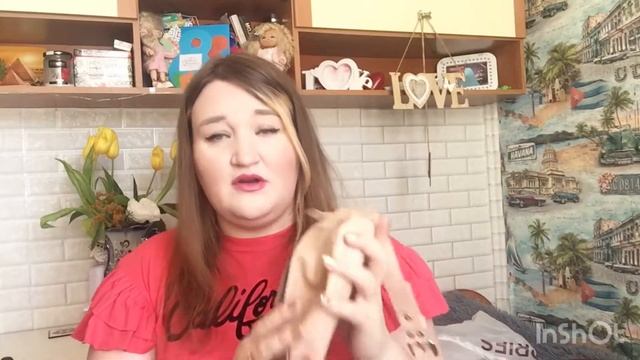 ??МОЯ КОЛЛЕКЦИЯ СУМОК??? смотреть онлайн