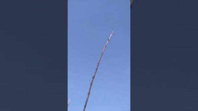 Полет Бакинских голубей, молодежь 2020, г. Краматорск Донецкой области. Часть 6. смотреть онлайн