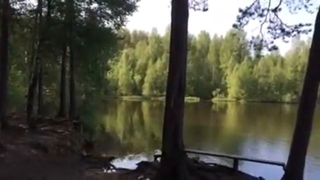 Левашово, Шуваловский пер., д. 3 смотреть онлайн