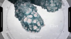 Просто и доступно об Омоложении  Что делать Теломеры, теломераза, ДНК, хромосомы