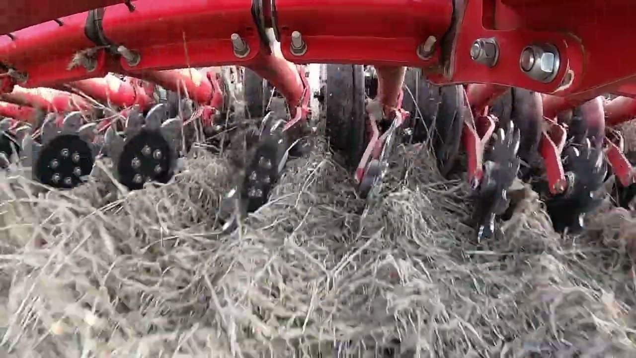 Horsch Avatar. Работа очистителей ряда. Анонс будущих видео. смотреть онлайн