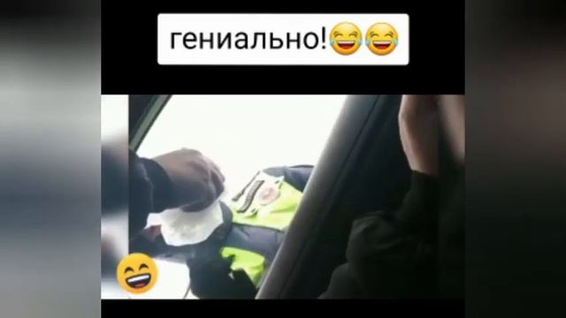 Я извиняюсь, документы были уронены в кошачье говно!