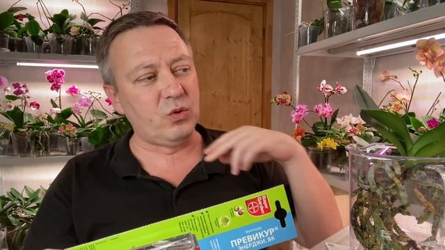 ПРЕВИКУР для ОРХИДЕЙ - лучшее средство для уцененных и слабых орхидей как фунгицид и стимулятор смотреть онлайн