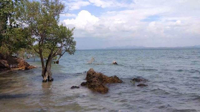 Ритмы Сознания