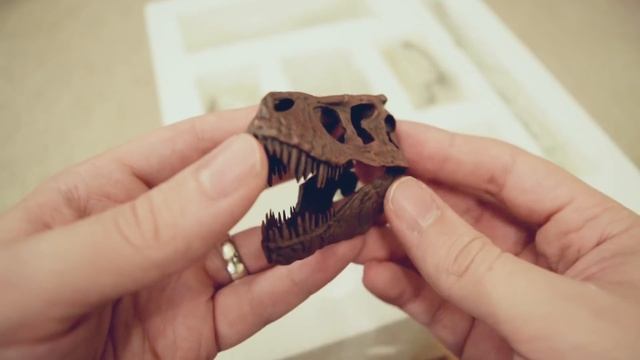 Rexy's bones! | Museum Quality T. Rex Skeleton Replica Unboxing | Peregrine 360 смотреть онлайн