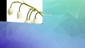 Прогулка по весеннему лесу