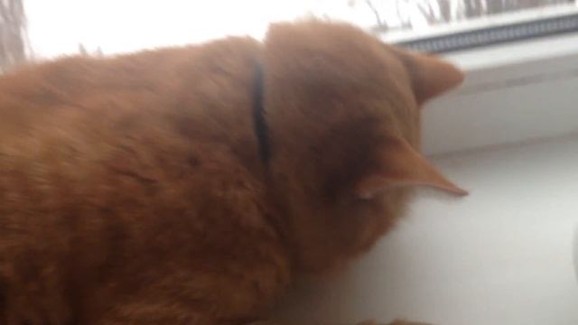 ПРИЯТНО НОГУ НЮХАТЬ? смотреть онлайн