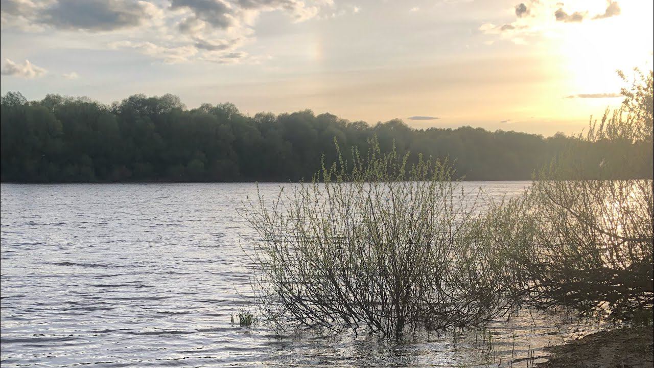 РЫБАЛКА НА ОКЕ / Поклёвки на КАЖДОМ ЗАБРОСЕ / Разведка Места / ОКА в Мае смотреть онлайн