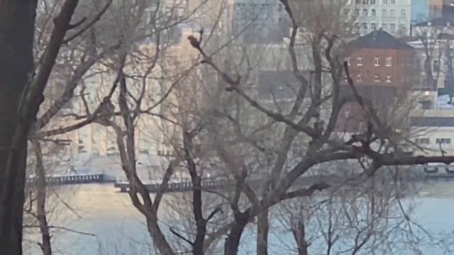 Орел и ворона The Eagle and the Crow смотреть онлайн