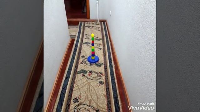 Потеря памяти и мнимая помощь друзей смотреть онлайн