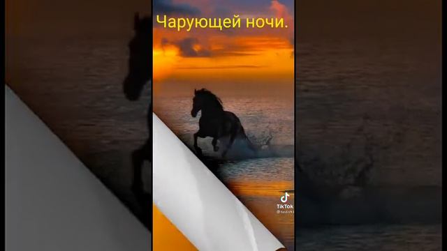 Доброй ночи. 😘 смотреть онлайн