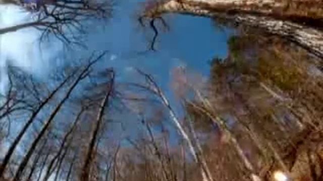 Я решу задачи на языке программирования C++ за 99 ... смотреть онлайн