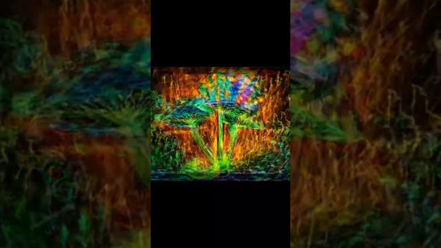 Dj guzel kafa смотреть онлайн