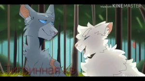 Коты воители клип «look what you made me do» Веснянка и Быстролап