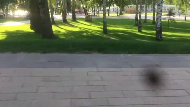 #струковский парк Самара #прогулка смотреть онлайн