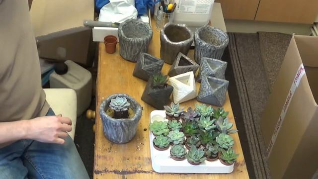 Succulents & Concrete Planters смотреть онлайн