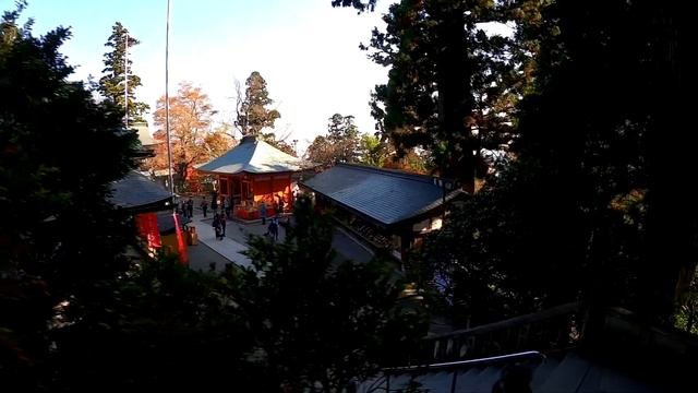 Япония. Священная Гора Такао и её леса. Часть 2/2 смотреть онлайн