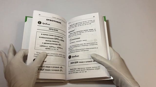 Все правила русского языка в схемах и таблицах для школьников. Универсальный справочник смотреть онлайн