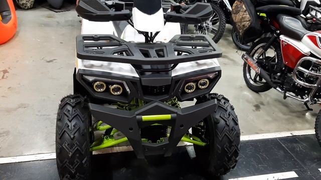 MOTOLAND WILD TRACK LUX 200 белый/зеленый/черный