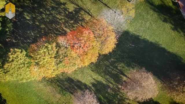 Парк 50 летия октября смотреть онлайн