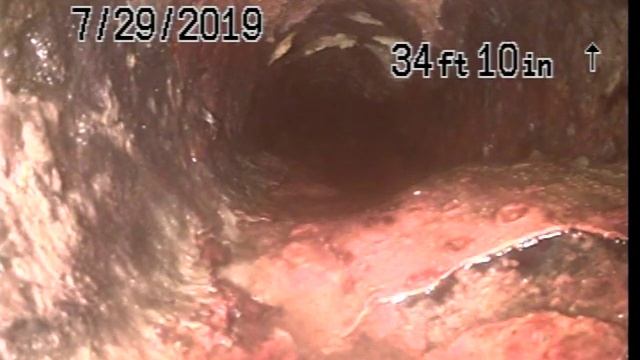 1504 MAXWELL ST смотреть онлайн