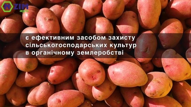 Біологічні фунгіциди ENZIM Agro - Огляд, склад, переваги смотреть онлайн