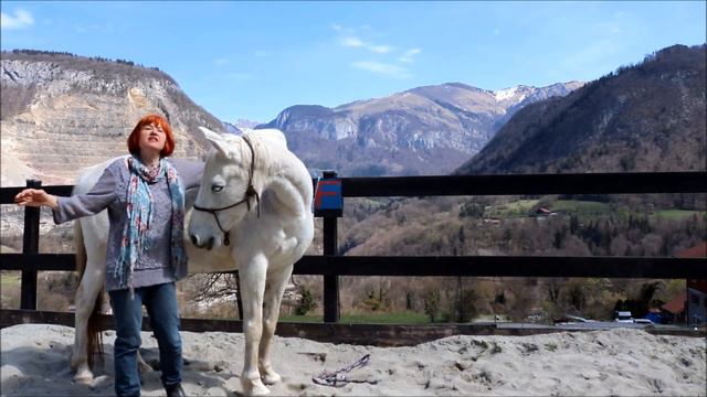 Alignement des Chakras sur un Cheval avec la Méthode des 2 Points смотреть онлайн