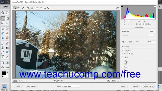 Photoshop Elements 2019 Tutorial Camera Raw Treatments and Profiles Adobe Training смотреть онлайн