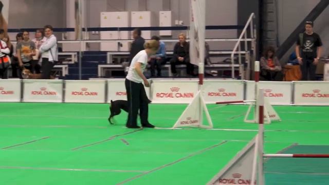 Кубок "Royal Canin", Ленэкспо, 27.04.14 г., v01 смотреть онлайн