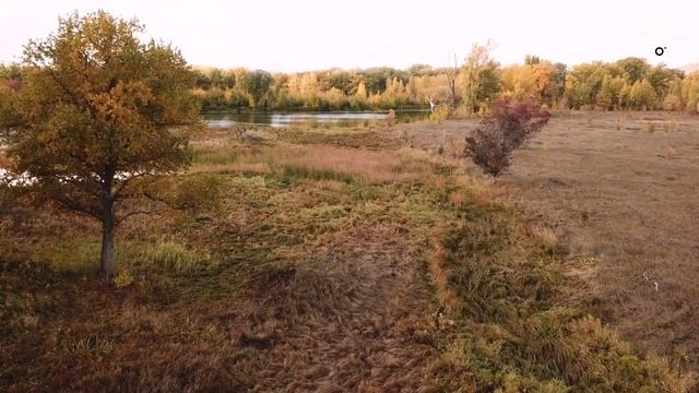 Вольск, рыбаки, Приверх, осень 2021. смотреть онлайн