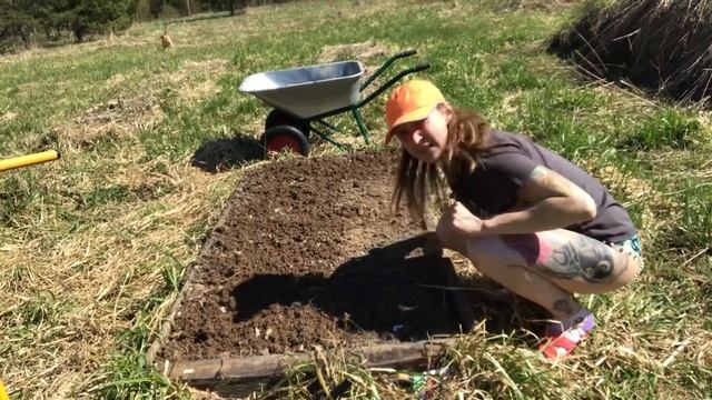 Как правильно полоть грядки, высадить морковь и сельдерей смотреть онлайн