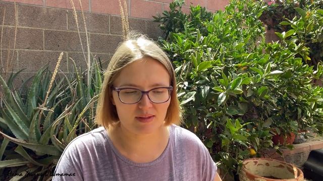 Не Удалось Этого Избежать | Наш Полупустой Дом | Наша Жизнь в Штатах смотреть онлайн