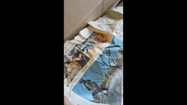Nomadic No More - Adventures in Unpacking смотреть онлайн