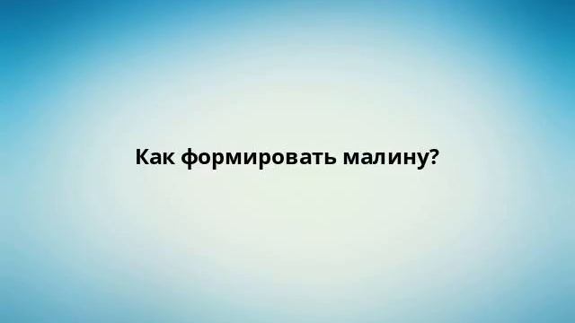 Как формировать малину? смотреть онлайн