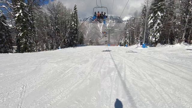 Спуск на горных лыжах (Сочи)