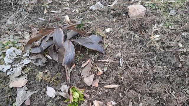 Делай То, Что Воплощает Мечты