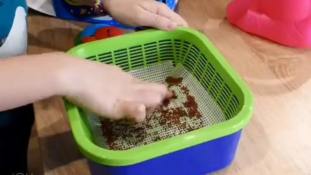 Детский проращиватель 