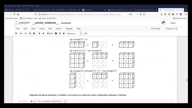 ZOOM SESSION ISYSRG #4 - short course on python programming-2 смотреть онлайн