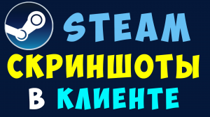 Как найти скриншоты в клиенте стим на компьютере. Клиент Steam где скриншоты